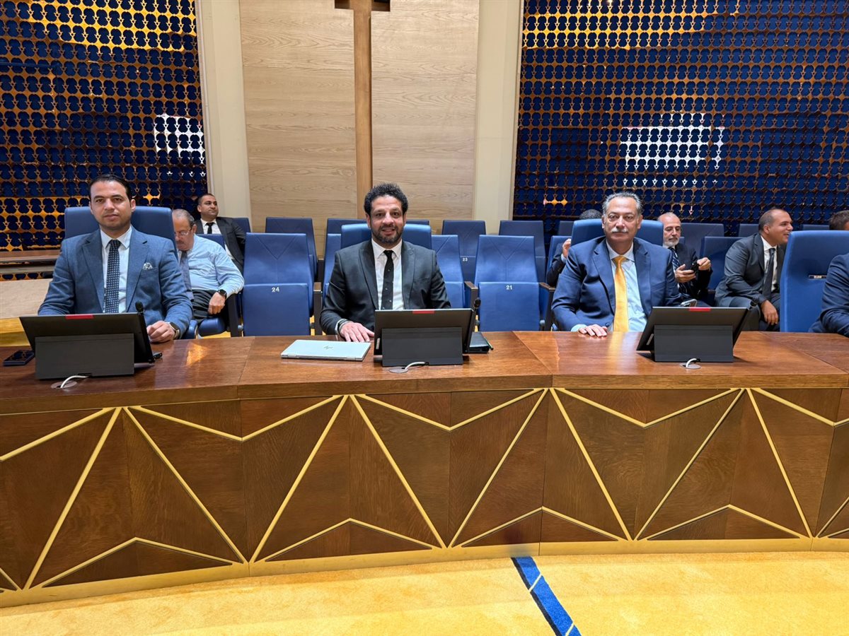 شركة الشحنة الكهربائية ضمن الوفد الرسمي المشارك في جولة وزير الخارجية الأفريقية