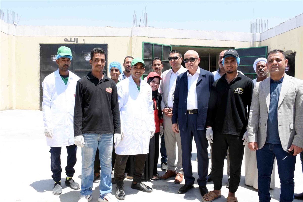 محافظ الأقصر وجولة بالمنطقة الصناعية بالبغدادي