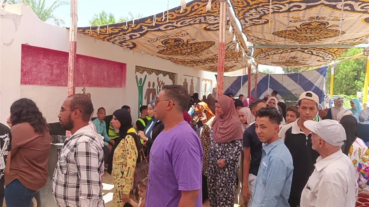 لجان انتخابات الشيوخ في الوادى الجديد