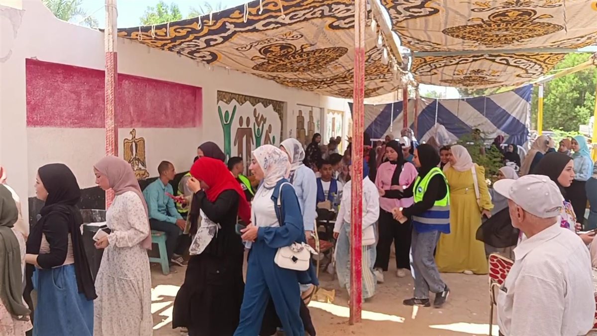 لجان انتخابات الشيوخ في الوادى الجديد