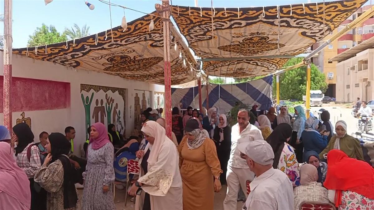 لجان انتخابات الشيوخ في الوادى الجديد