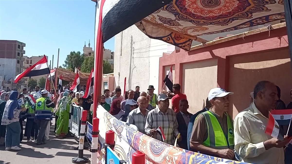 لجان انتخابات الشيوخ في الوادى الجديد