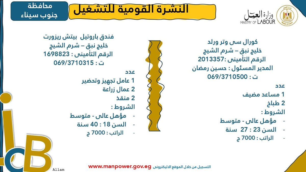 وظائف وزارة العمل