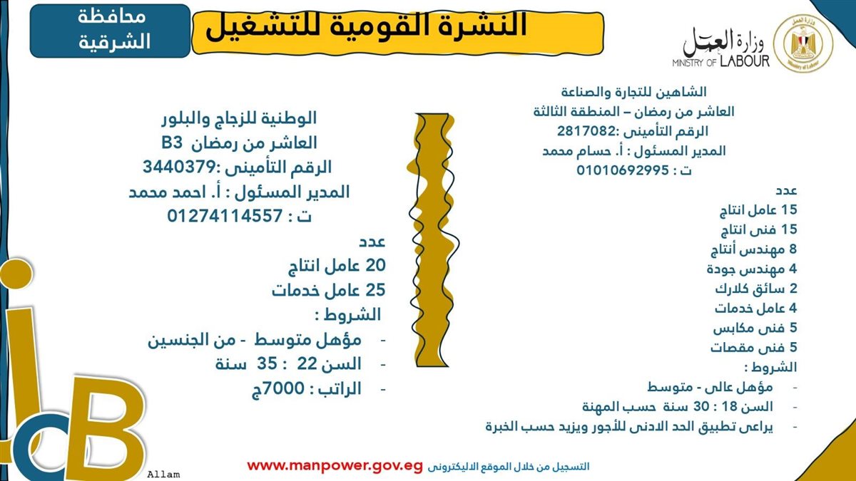 وظائف وزارة العمل