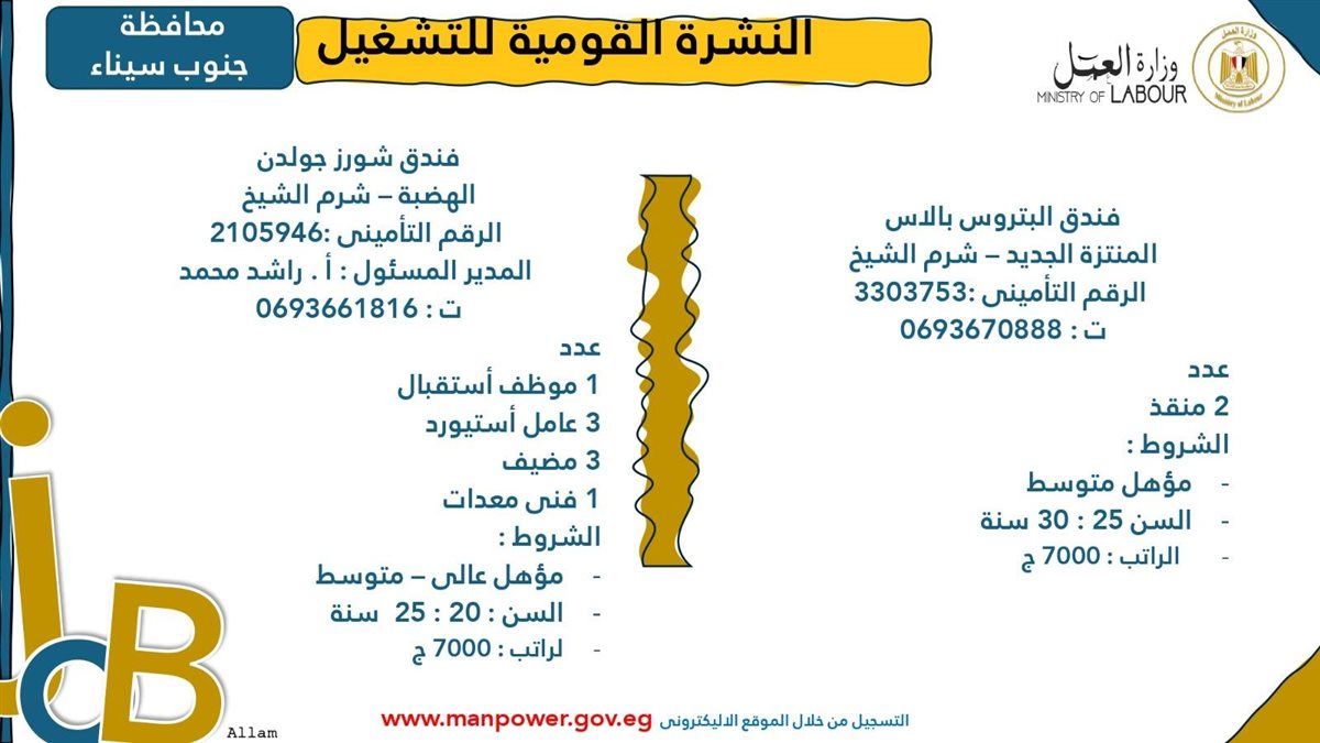 وظائف وزارة العمل