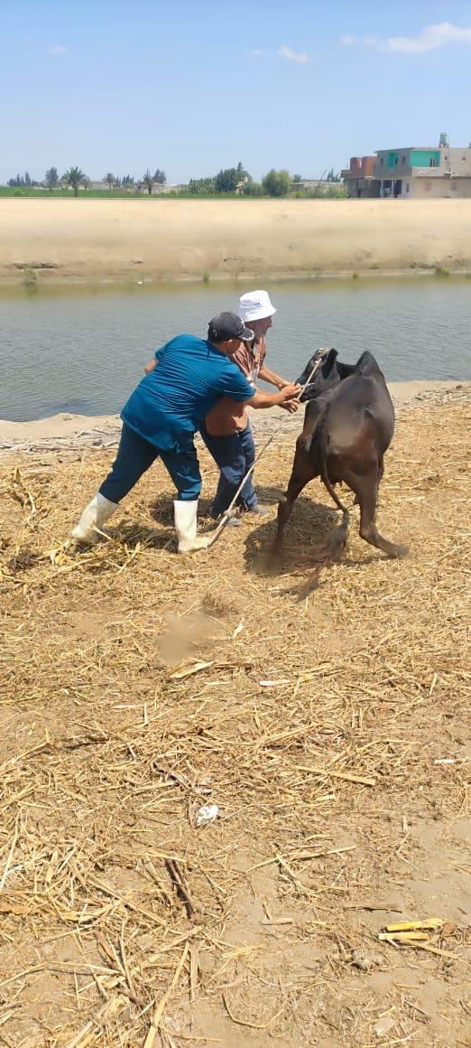 محافظة بورسعيد 