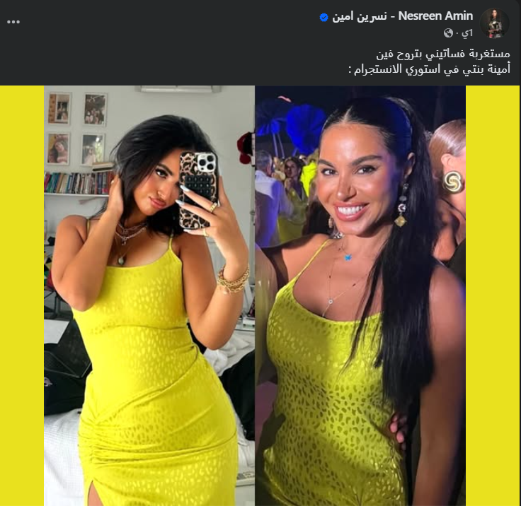 نسرين أمين عبر فيس بوك