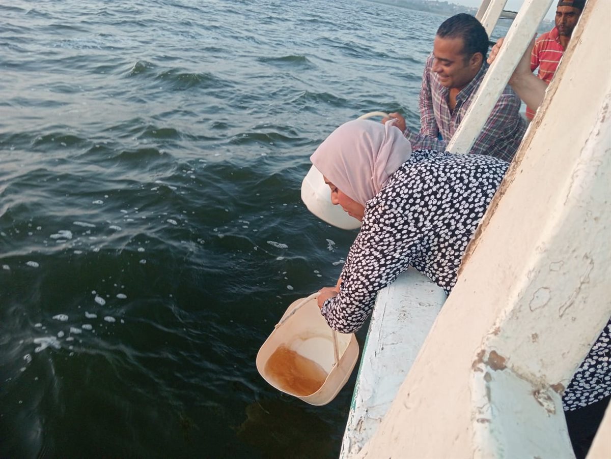 ضمن خطةمحافظ الفيوم يتابع أعمال إنزال يرقات الجمبري لبحيرة قارون