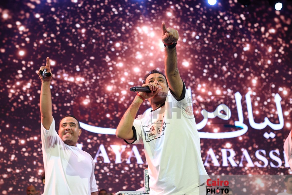 محمود الليثي 