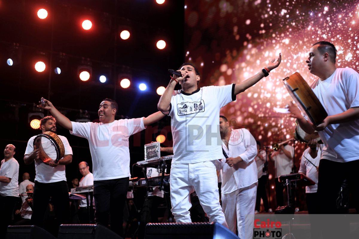 محمود الليثي 