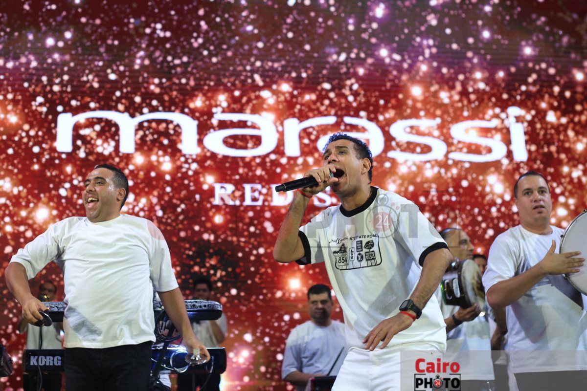 محمود الليثي 