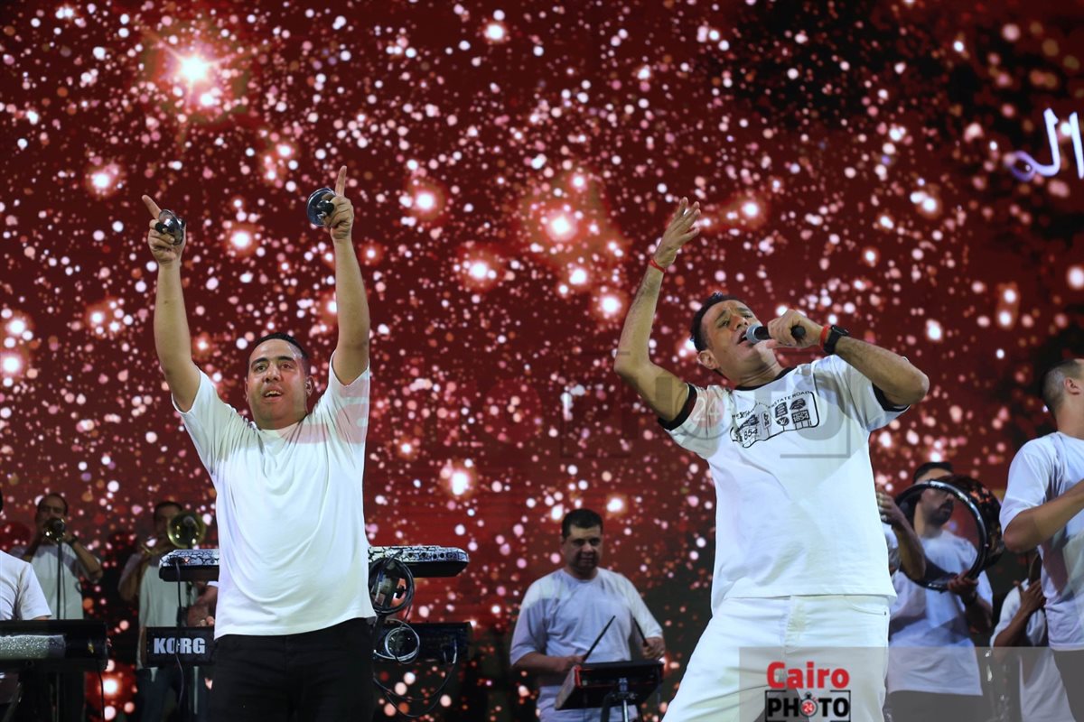 محمود الليثي