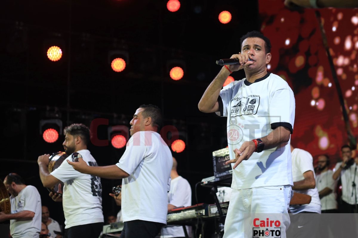 محمود الليثي