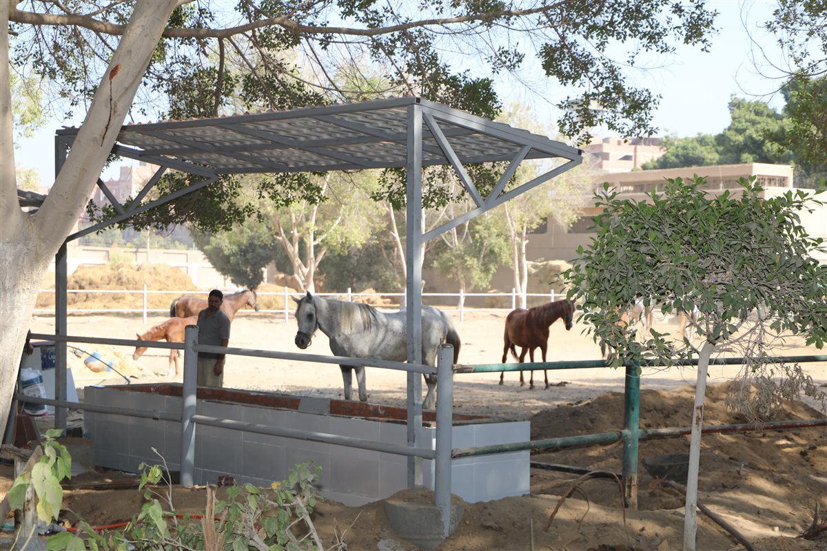 <strong>وزير الزراعة يتفقد أعمال التطوير بمحطة الزهراء للخيول العربية الأصيلة ويوجه بسرعة الإنجاز</strong>