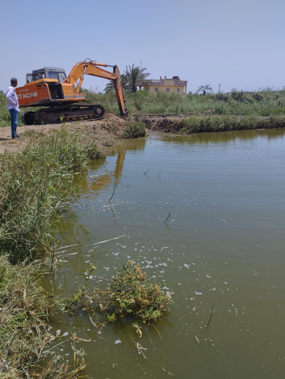 الجهود التنفيذية ببورسعيد