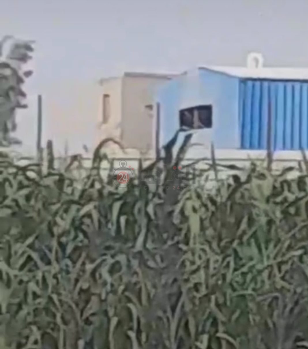 مصنع تدوير المخلفات يهدد صحة 40 ألف نسمة بالفيوم