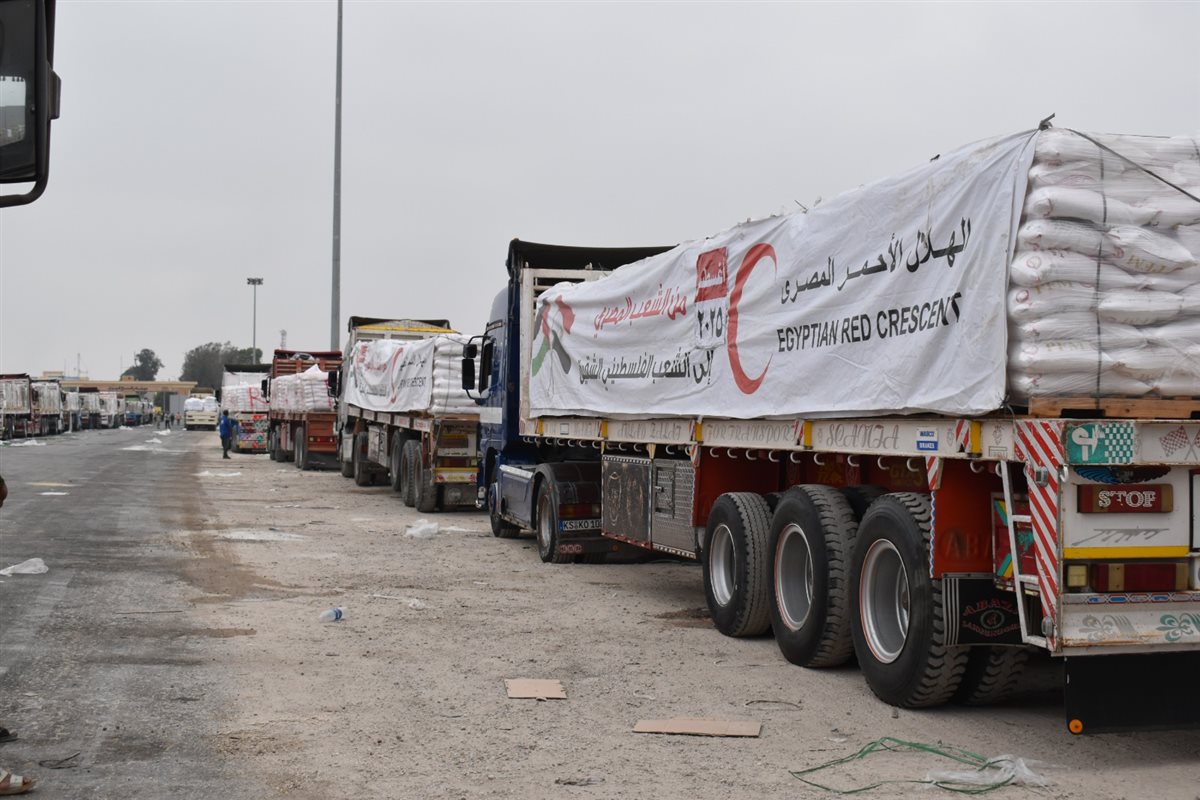 قافلة « زاد العزة.. من مصر إلى غزة»