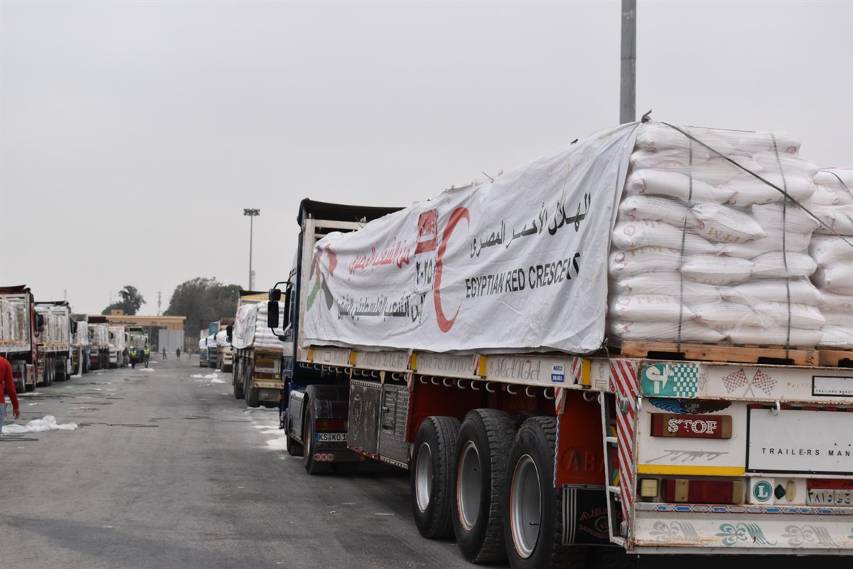 قافلة « زاد العزة.. من مصر إلى غزة»