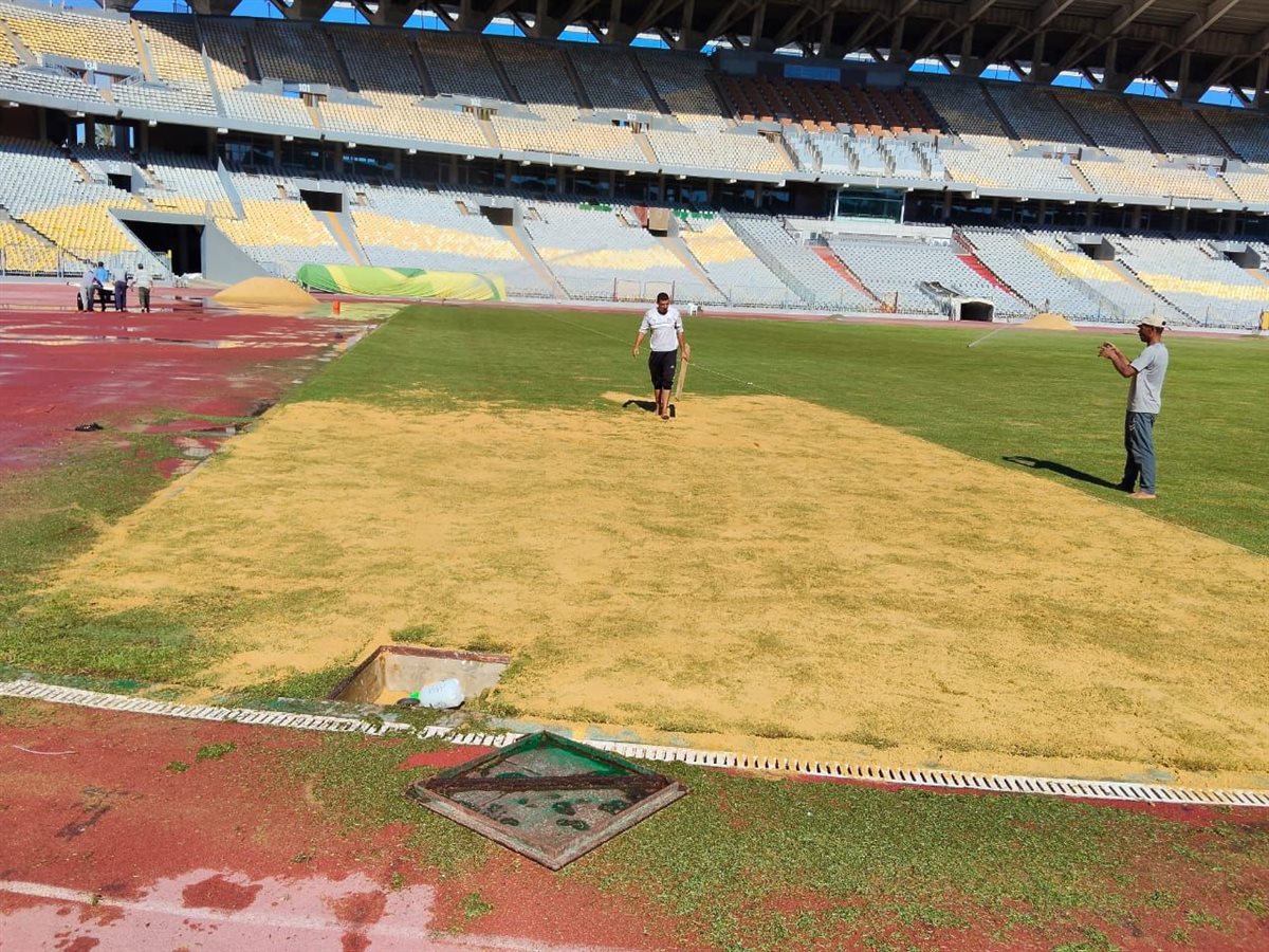 الانتهاء من تطوير أرضية استاد برج العرب استعدادًا للموسم الجديد