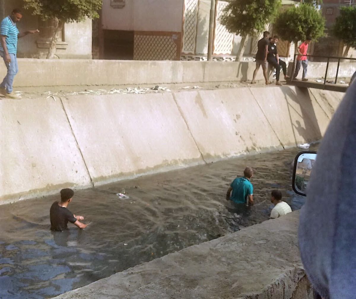 البحث عن جثمان طفل غرق في ترعة بالمنوفية