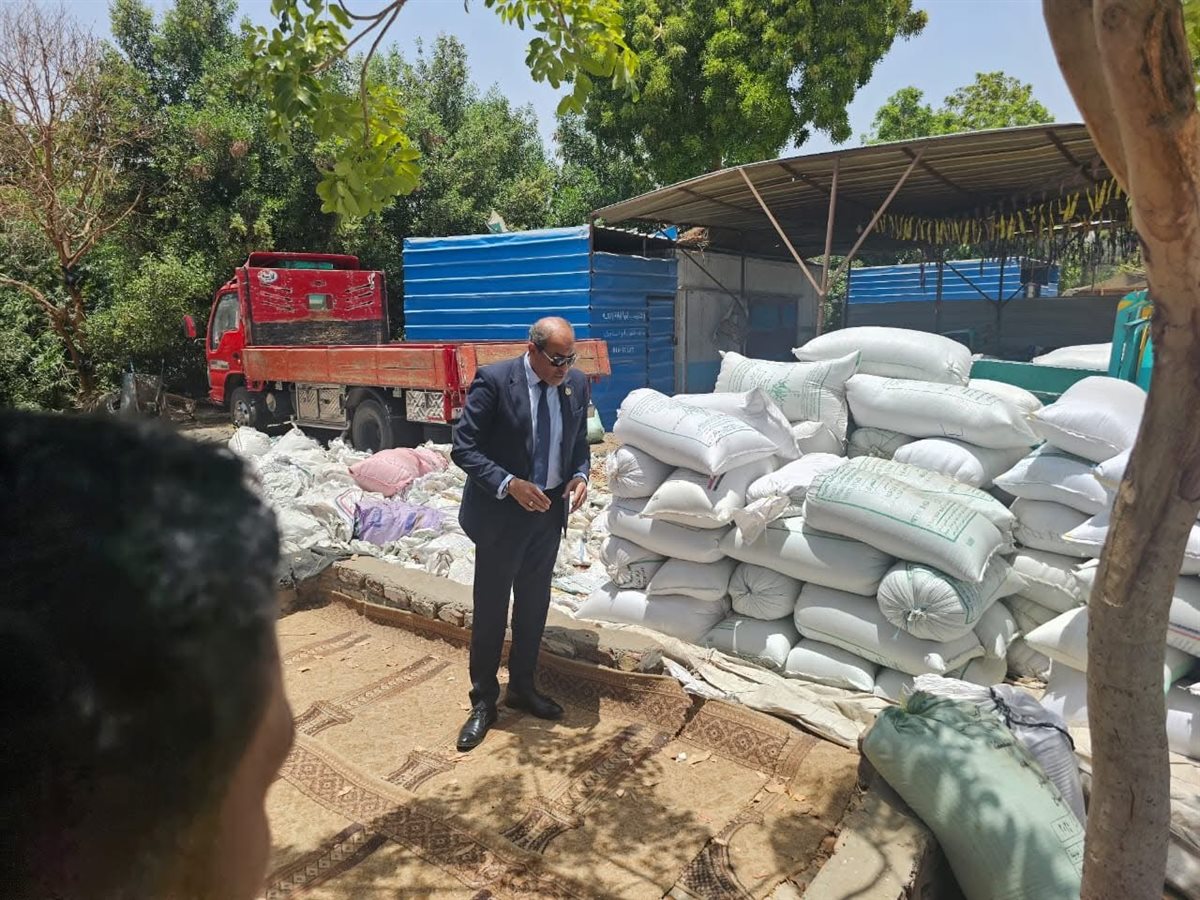 موسم توريد القمح بالأقصر