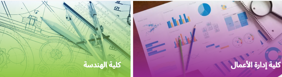 تخصصات جامعة زويل للعلوم والتكنولوجيا