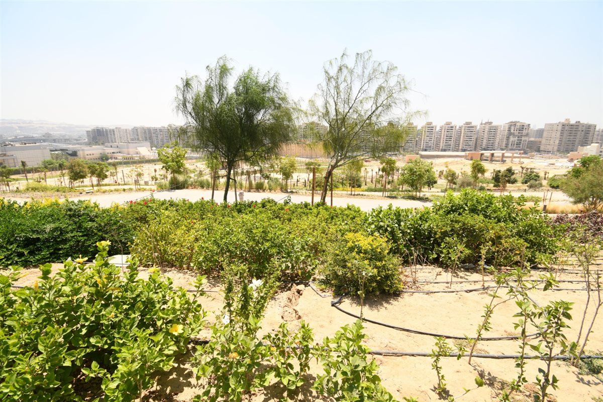 حديقة تلال الفسطاط