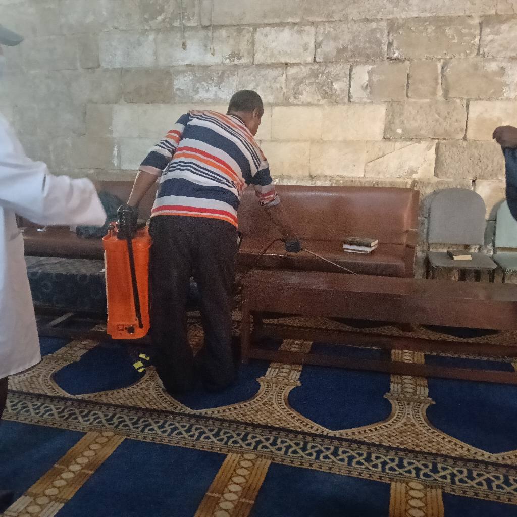 تطهير المساجد وحماية التراث على يد فرق الأزمات بوزارة السياحة