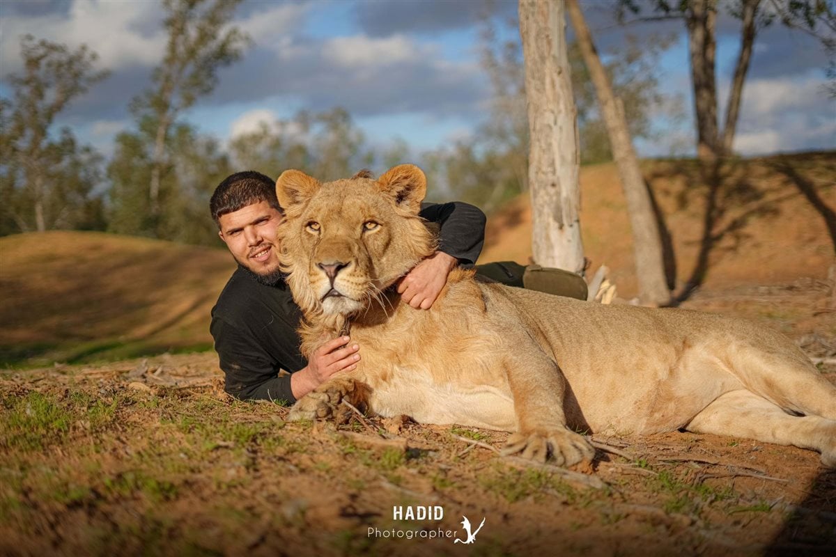 صاحب فيديو مزاح الأسد مع العامل المصري