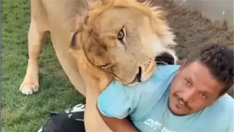 مزاح الأسد مع العامل المصري