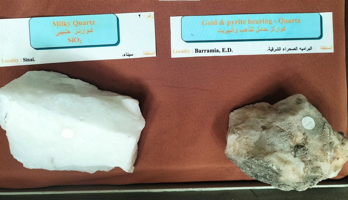 فاترينة نادرة للأحجار الجيولوجية