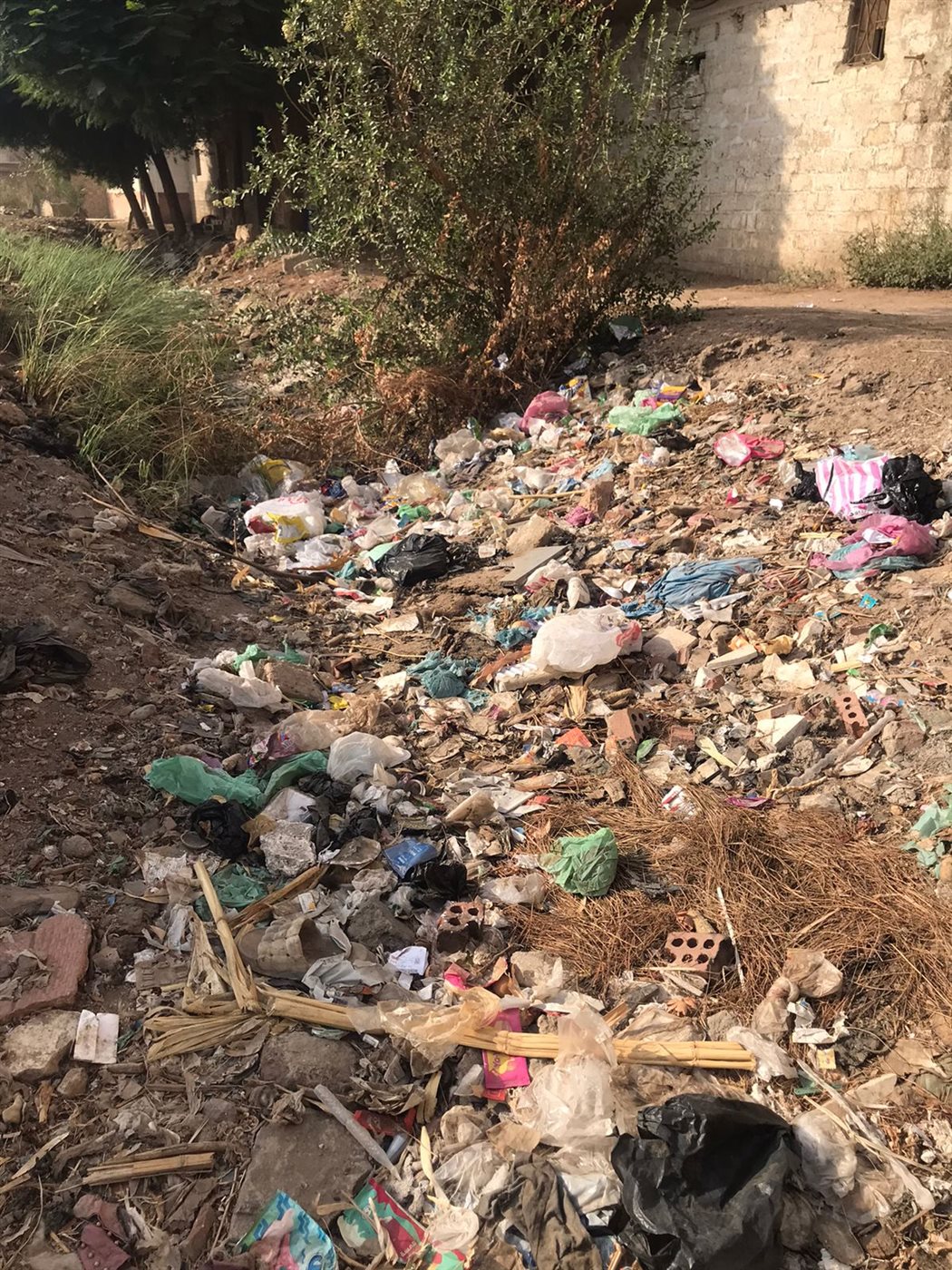 جانب من الترعة