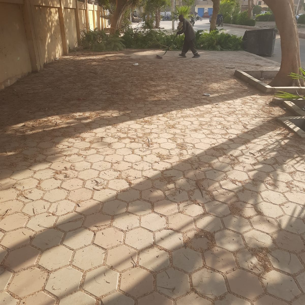 حملة نظافة مكبرة بالأقصر