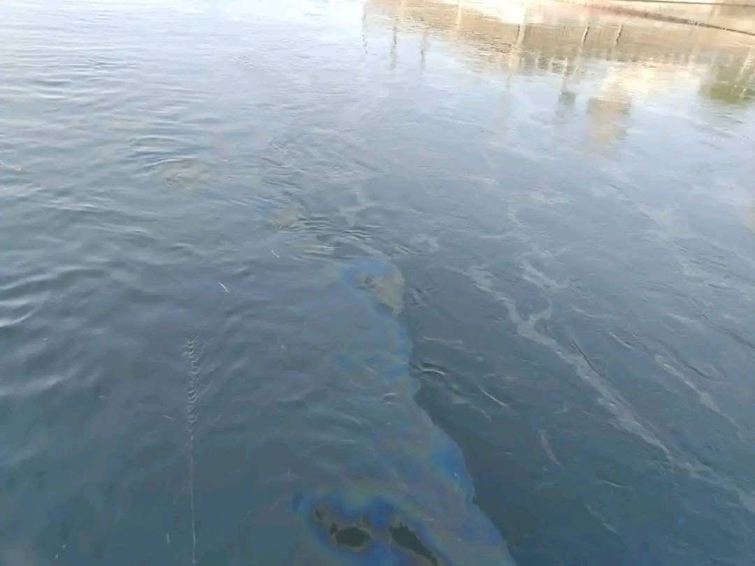 البقع الزيتية بنيل الأقصر