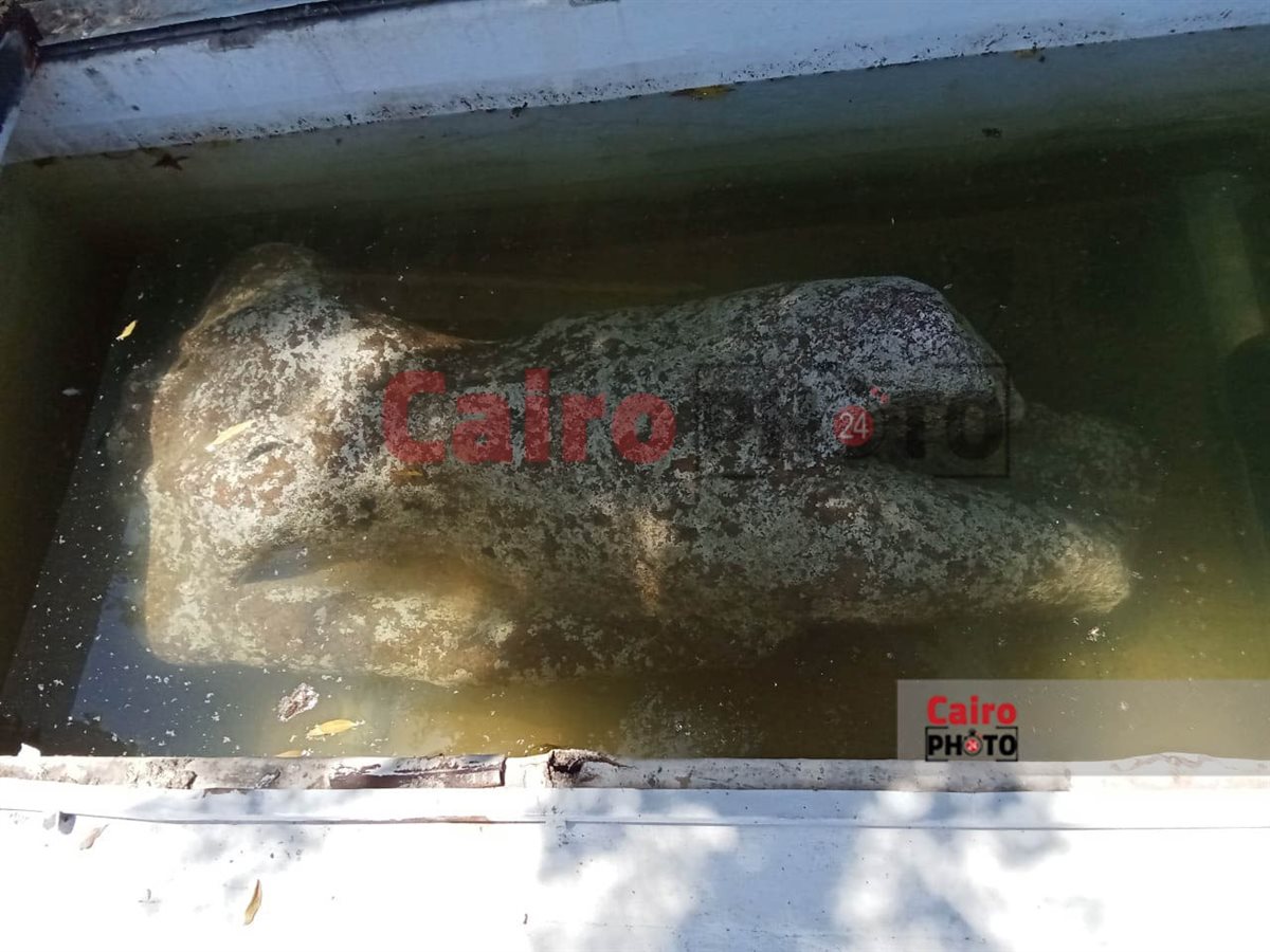 رحلة الكنوز الغارقة.. نقل القطع الأثرية المنتشلة من أبو قير إلى المسرح اليوناني الروماني لترميمها&nbsp;