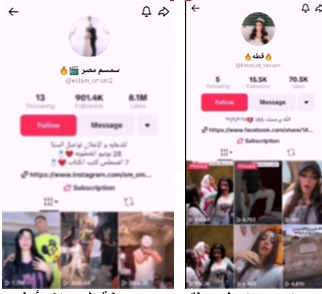 القبض على التيك توكر سمسم مصر وزوجته قطة