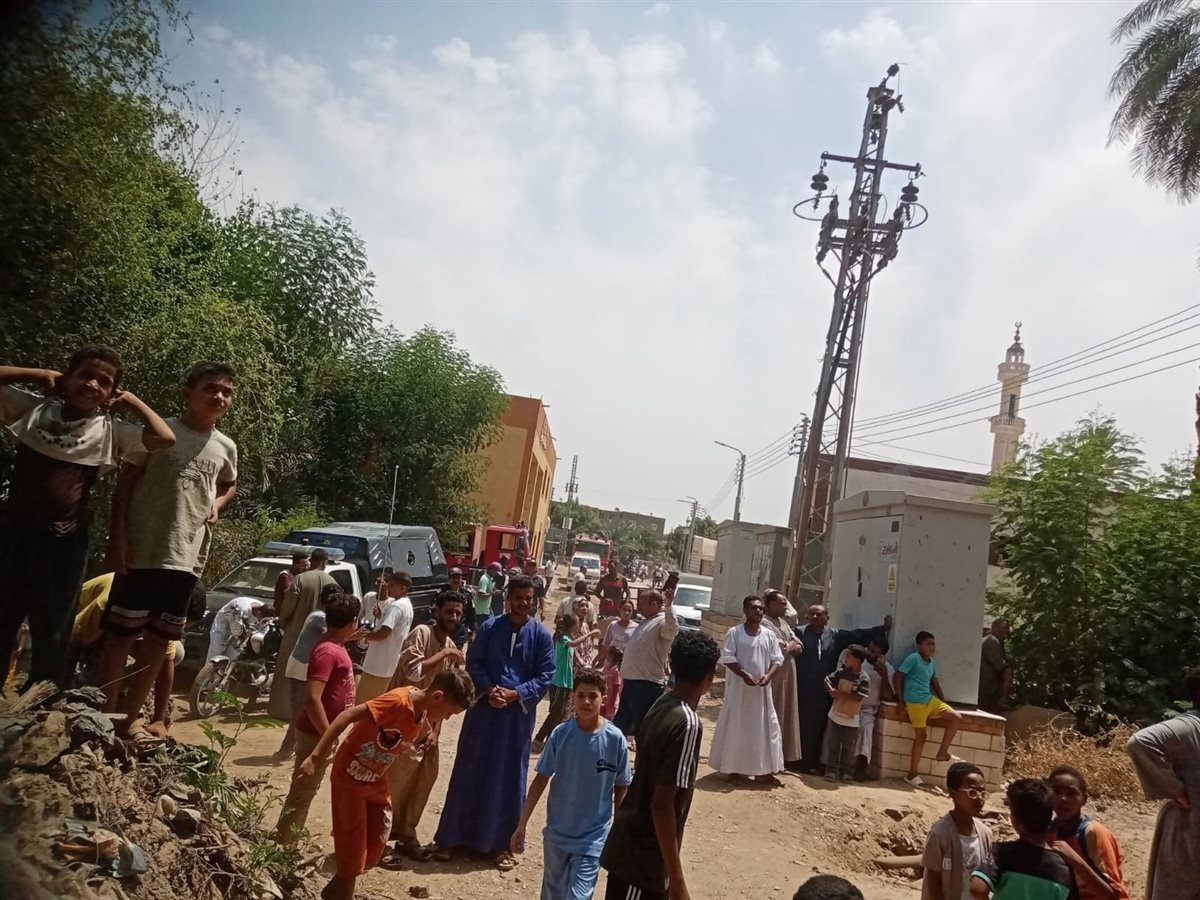 ظهور شامبنزى على أحد الأشجار بقرية الديمقراط بالأقصر