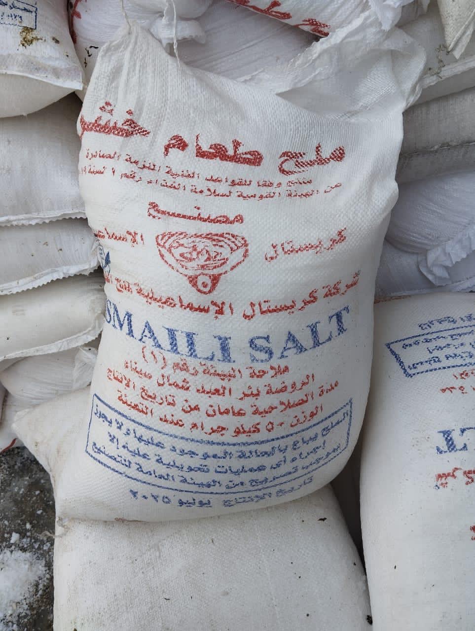 جانب من الحملة