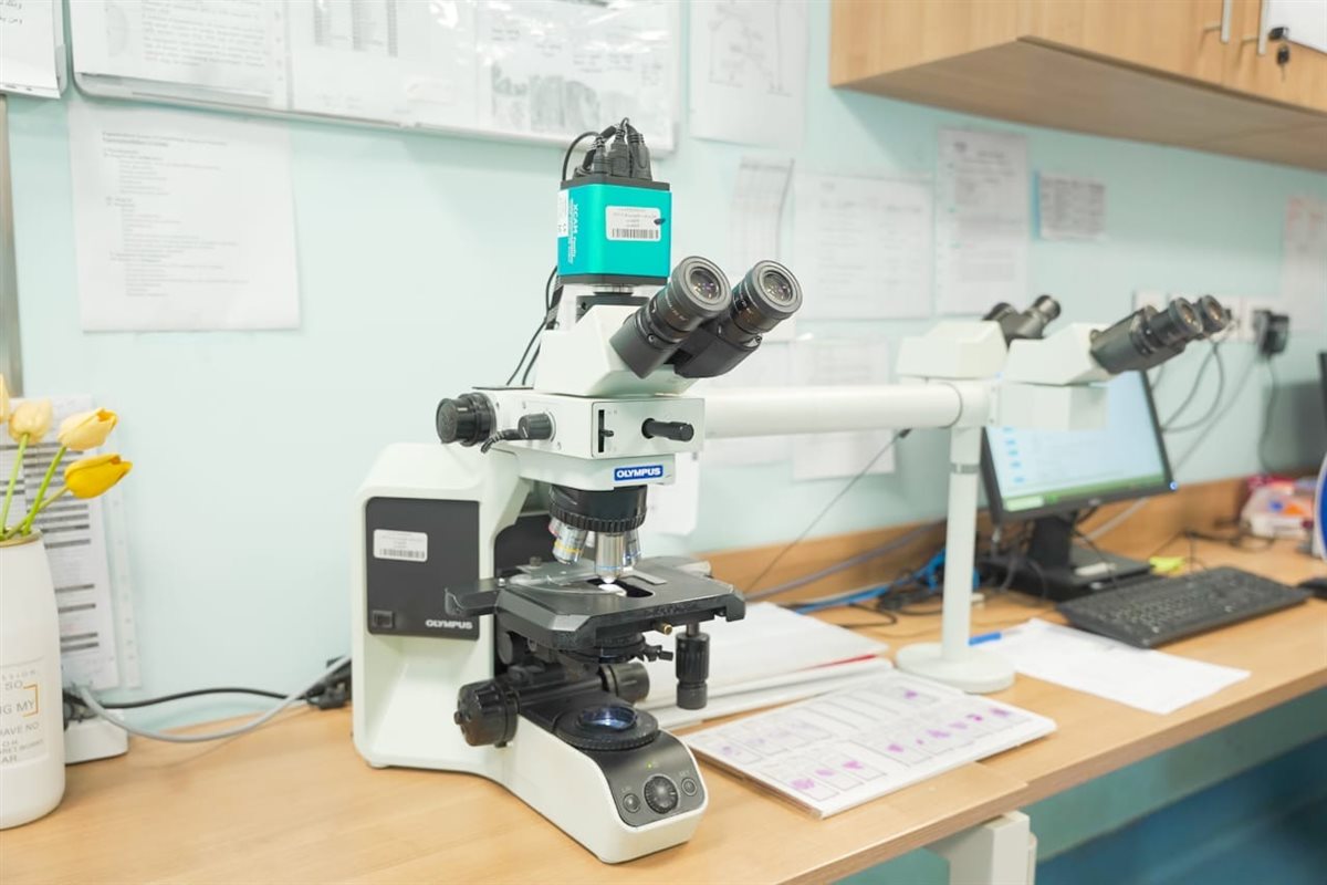 إدخال جهاز الميكروسكوب متعدد الرؤوس بأورام الأقصر