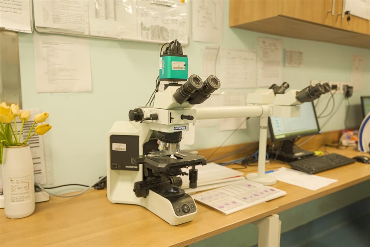 إدخال جهاز الميكروسكوب متعدد الرؤوس بأورام الأقصر