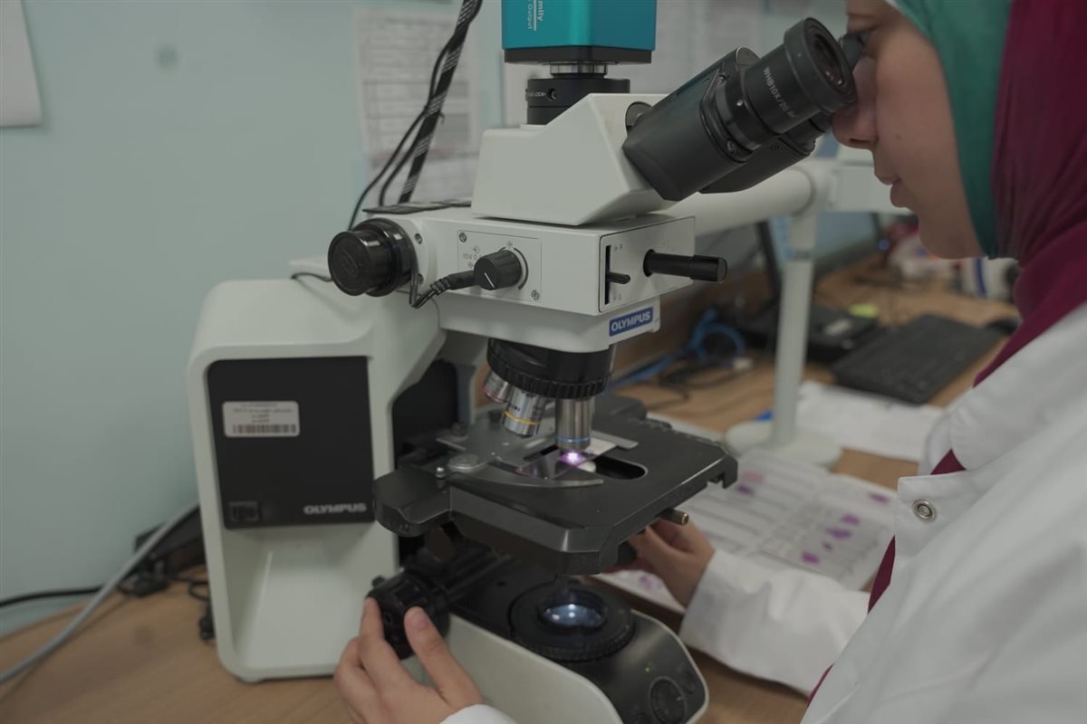 إدخال جهاز الميكروسكوب متعدد الرؤوس بأورام الأقصر