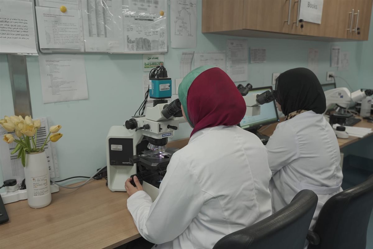 إدخال جهاز الميكروسكوب متعدد الرؤوس بأورام الأقصر