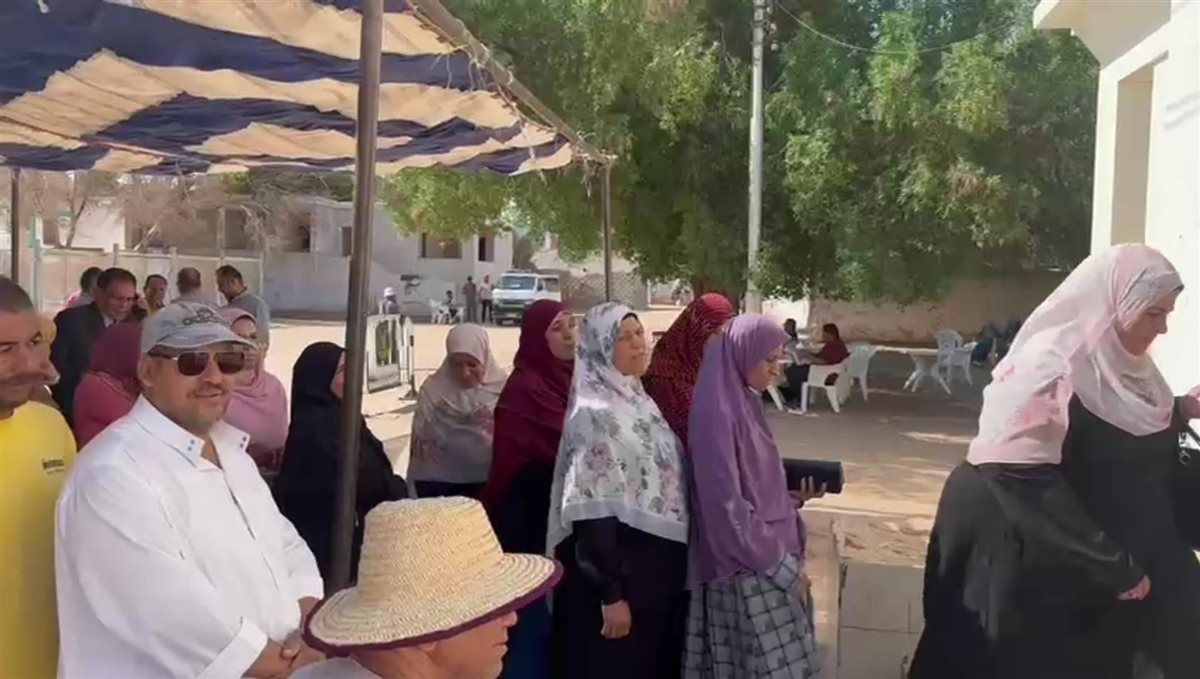 انتخابات الوادى الجديد