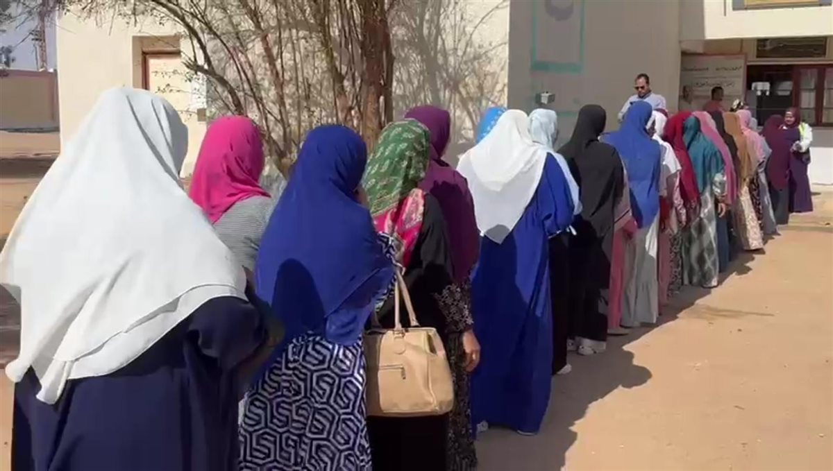 انتخابات الوادى الجديد