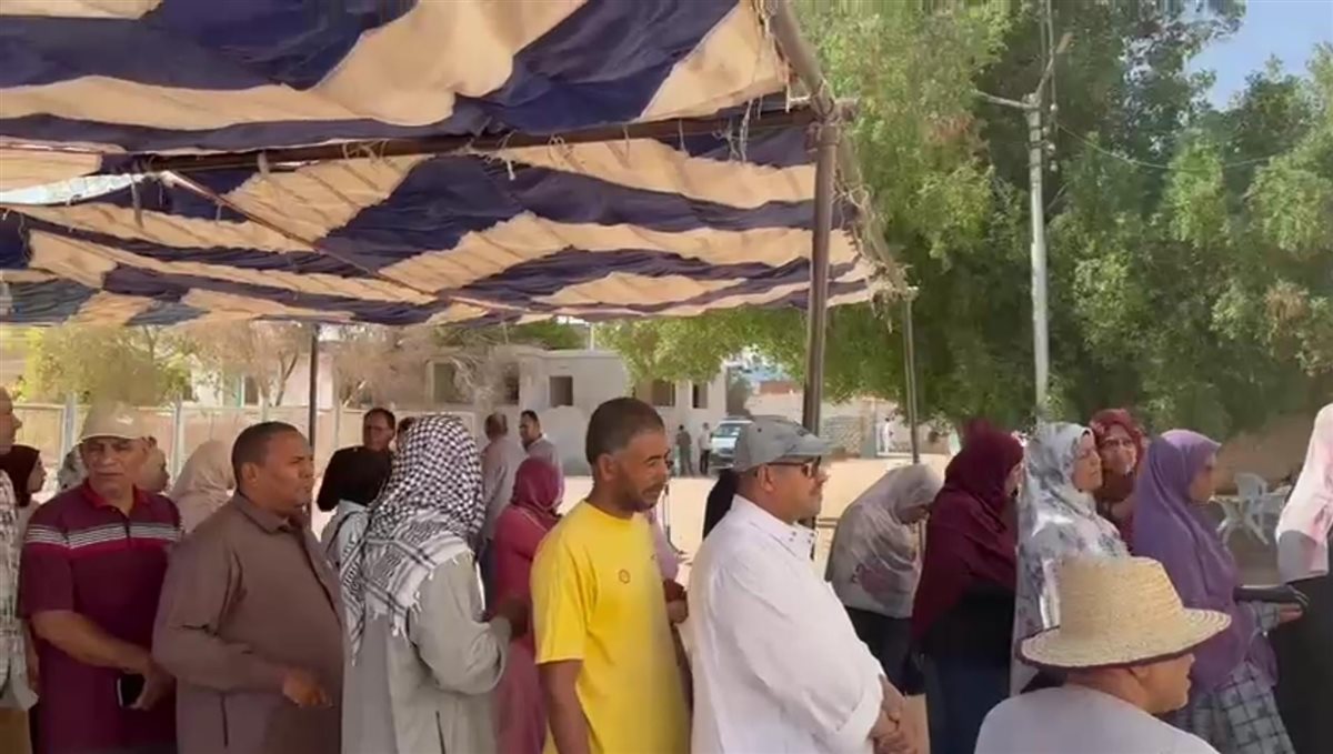 انتخابات الوادى الجديد