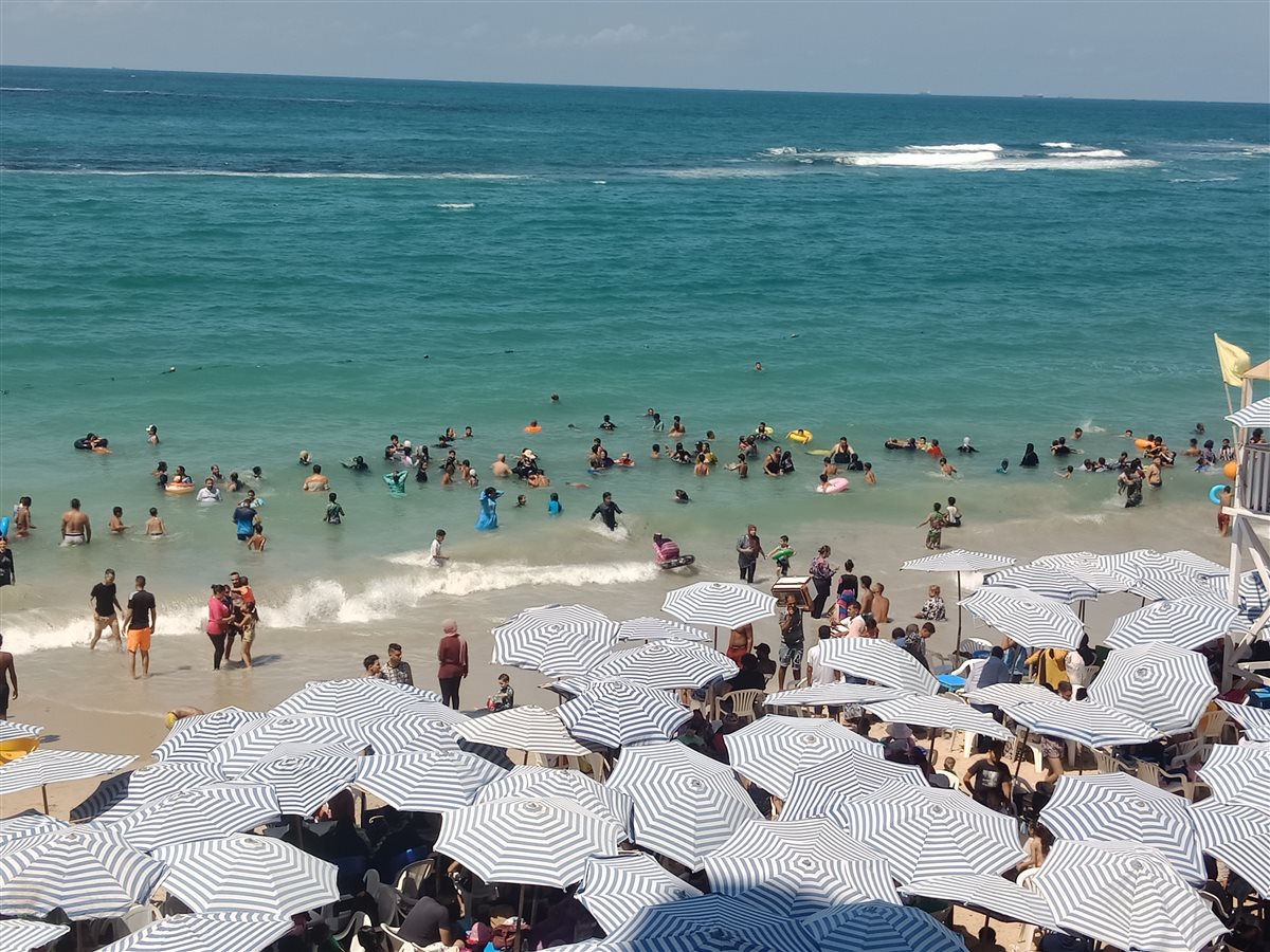 شواطئ الإسكندرية