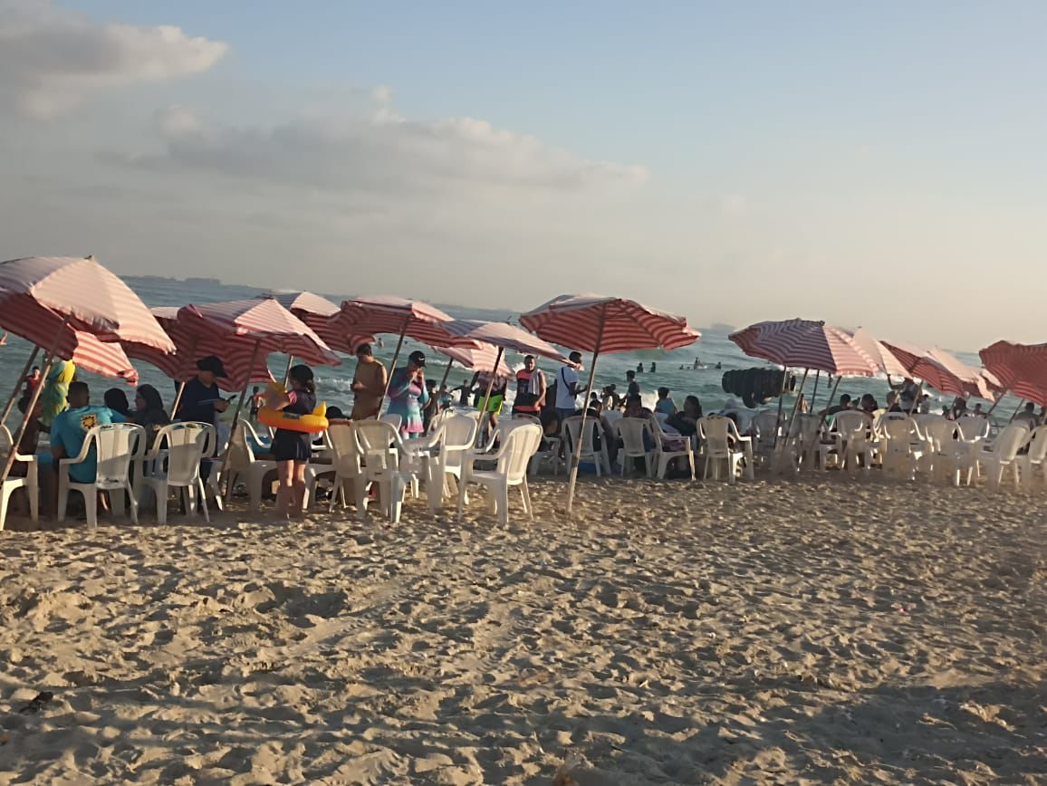 شواطئ الإسكندرية