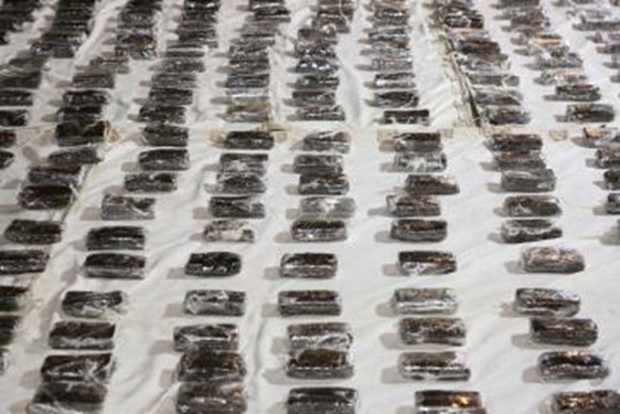 إحباط جلب كمية كبيرة من مخدري الحشيش والهيدرو بالإسماعيلية