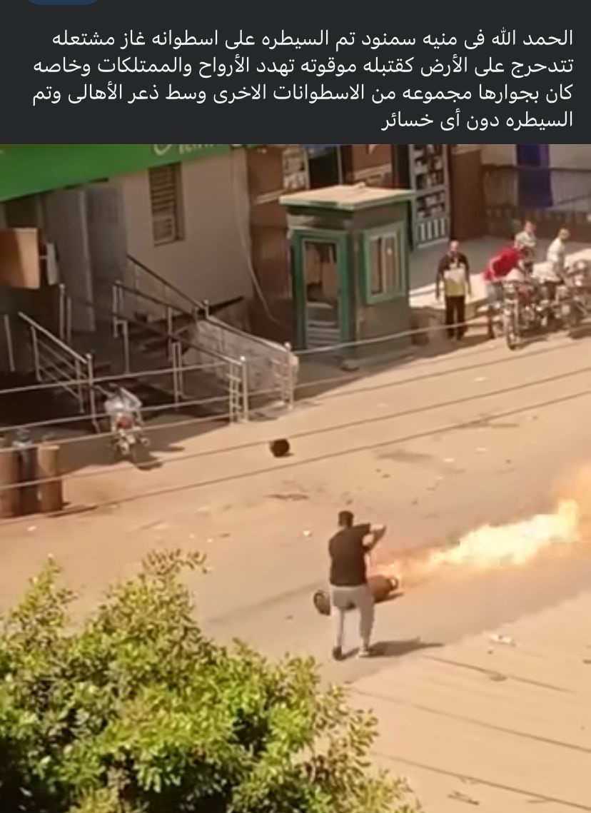 منشور عبر فيسبوك حول شجاعة المصريين 