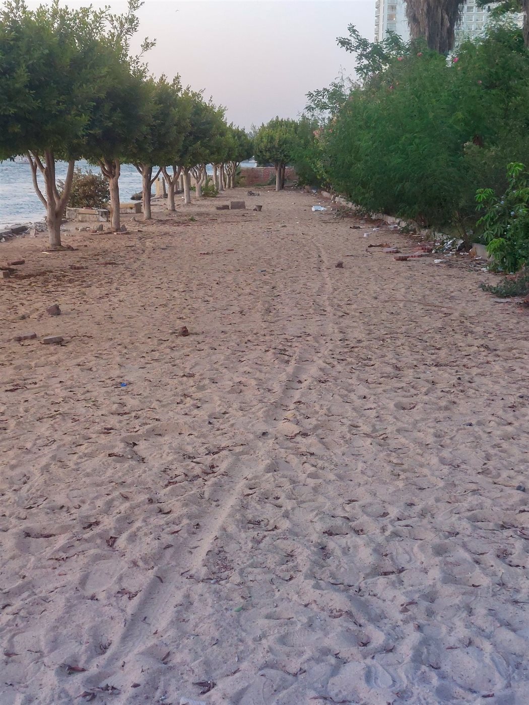 إزالة حديقة أم كلثوم